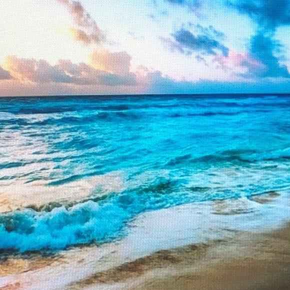 Meet your Posher, Wallace - Picture 1 of 1